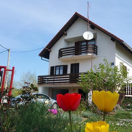 Apartment Ankica Селиште-Дрежничко Экстерьер фото